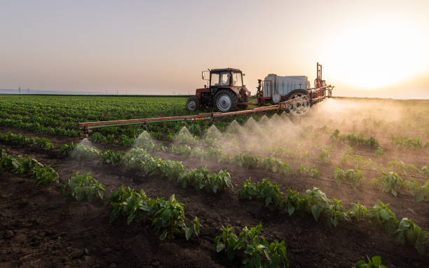 Best Best Pest Control Companies  in North Platte, NE