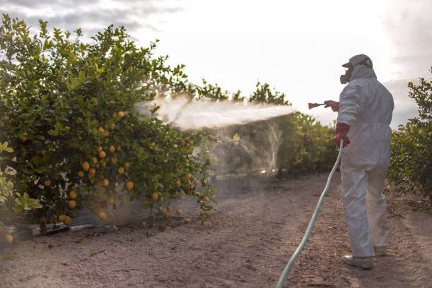 Best Insect Control  in North Platte, NE