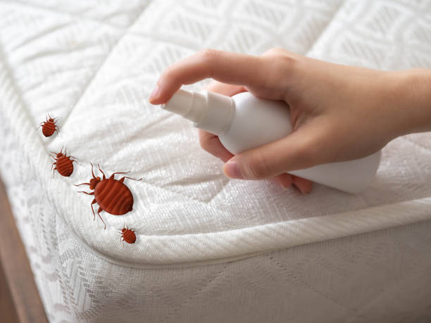 Pest Prevention Services in North Platte, NE