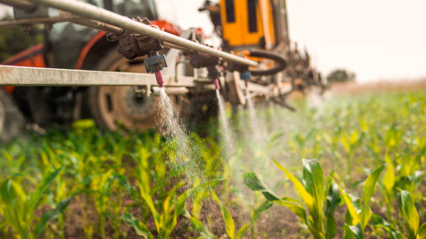 Best Pest Removal Services  in North Platte, NE